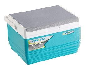 Eskimo Cooler Box 11 L 