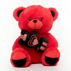 Toriah-Teddy Bear